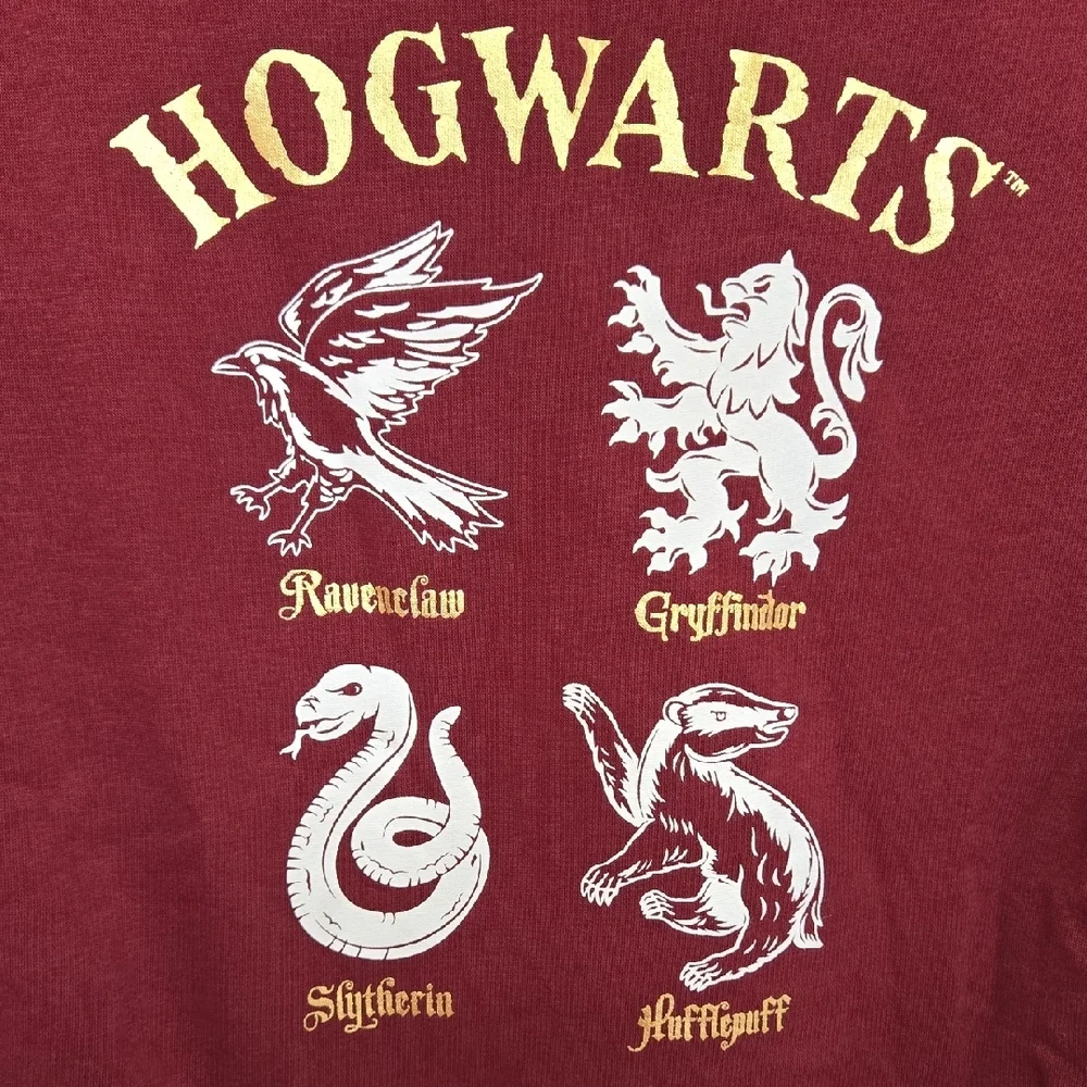 H&M Burgundy Harry Potter Hogwarts Four House Mascots Pullover Sweatshirt